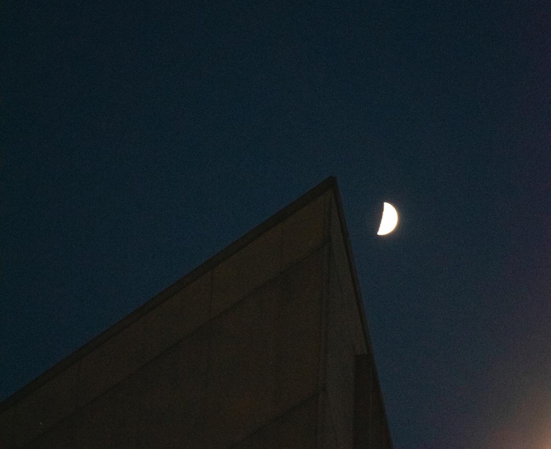 Luna notte